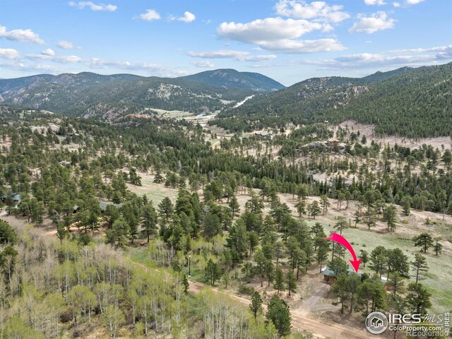 839 Ski Rd, Allenspark, CO 80510 - view of mountain background featuring a forest