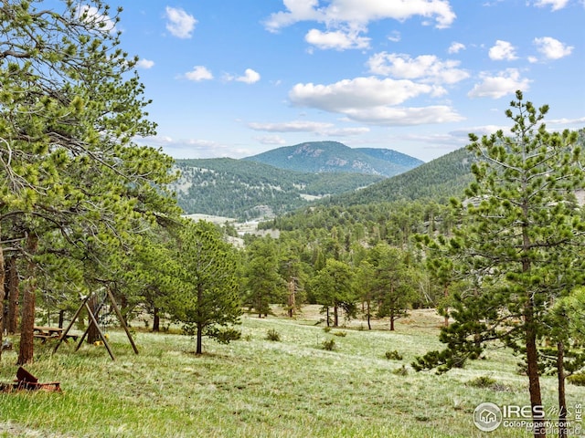 839 Ski Rd, Allenspark, CO 80510 - mountain view with a heavily wooded area