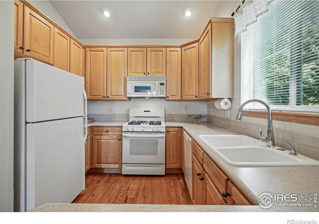 612 Wild Ridge Ln, Lafayette, CO 80026