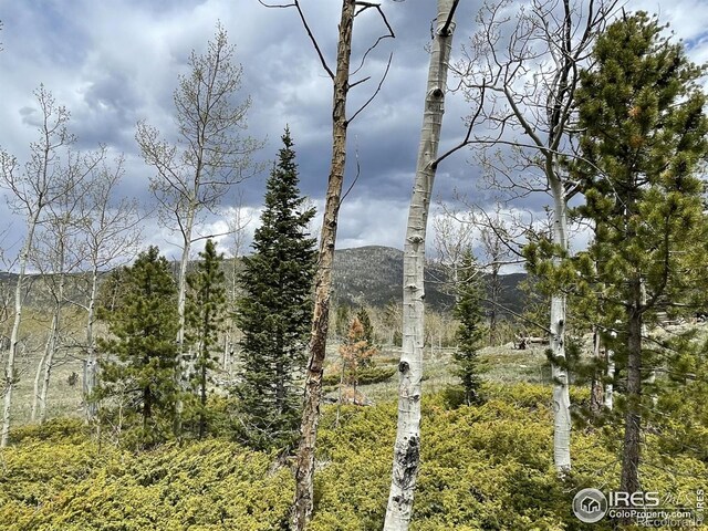 22 Tami Rd, Red Feather Lakes, CO 80545
