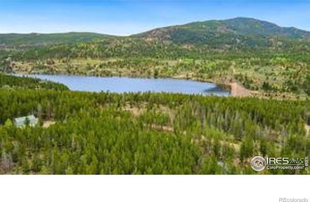 22 Tami Rd, Red Feather Lakes, CO 80545