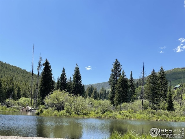 22 Tami Rd, Red Feather Lakes, CO 80545