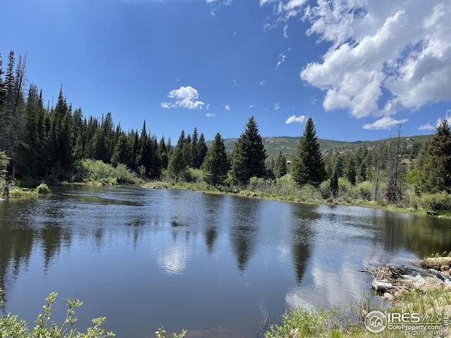22 Tami Rd, Red Feather Lakes, CO 80545