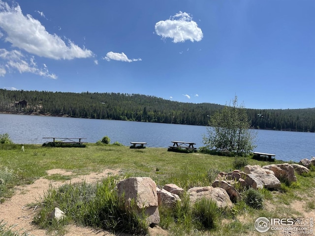 22 Tami Rd, Red Feather Lakes, CO 80545