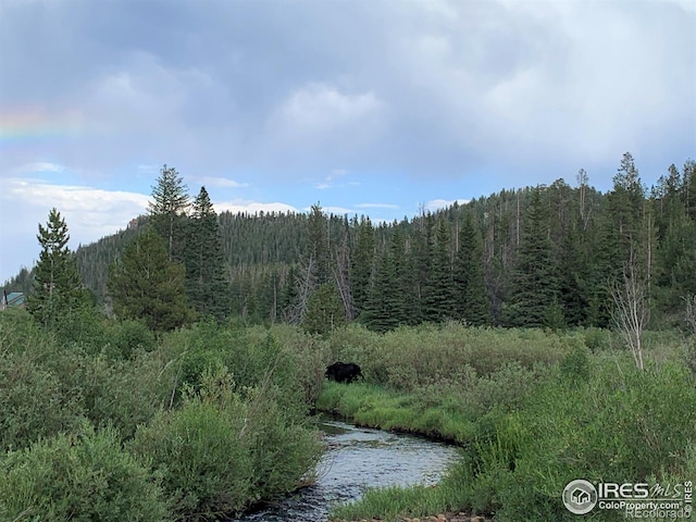 22 Tami Rd, Red Feather Lakes, CO 80545