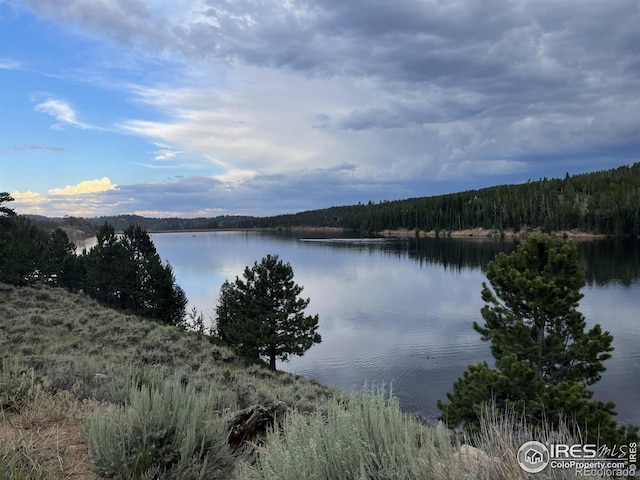 22 Tami Rd, Red Feather Lakes, CO 80545