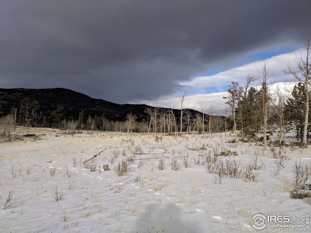 22 Tami Rd, Red Feather Lakes, CO 80545