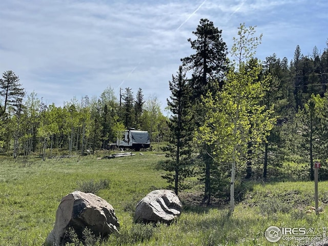 22 Tami Rd, Red Feather Lakes, CO 80545 - photo 1