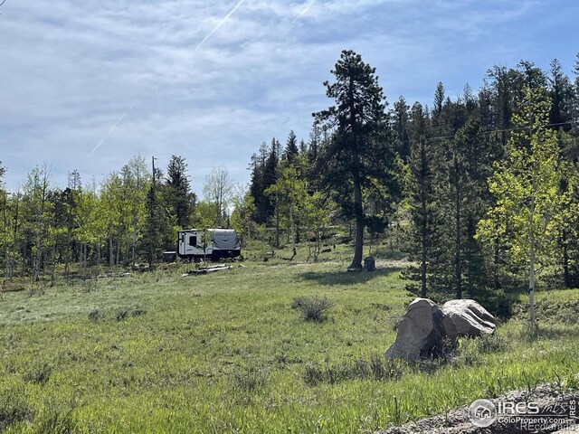 22 Tami Rd, Red Feather Lakes, CO 80545 - photo 29