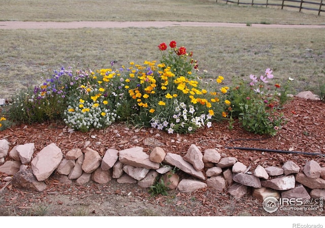 631 Linecamp Dr, Livermore, CO 80536 - exterior view