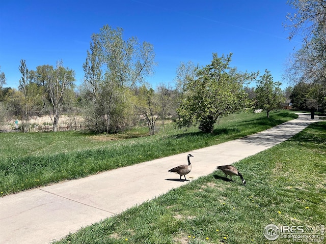 1359 Caledonia Cir, Louisville, CO 80027 - view of property's community with a yard