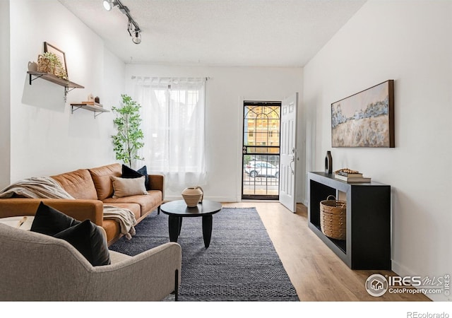 135 E 8th Ave, Denver, CO 80203 - living room with light wood-type flooring and baseboards