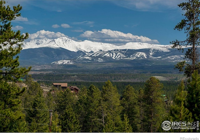 61 County Road 8501, Tabernash, CO 80478 - view of mountain background with a heavily wooded area