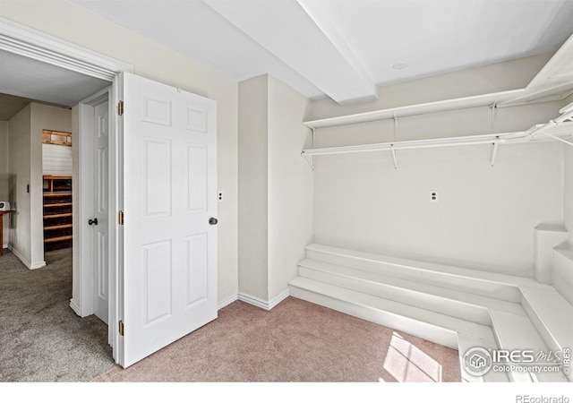 1921 Glenview Ct, Berthoud, CO 80513 - walk in closet featuring carpet floors