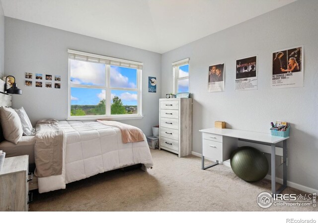 1755 Dolores River Dr, Windsor, CO 80550 - photo 17