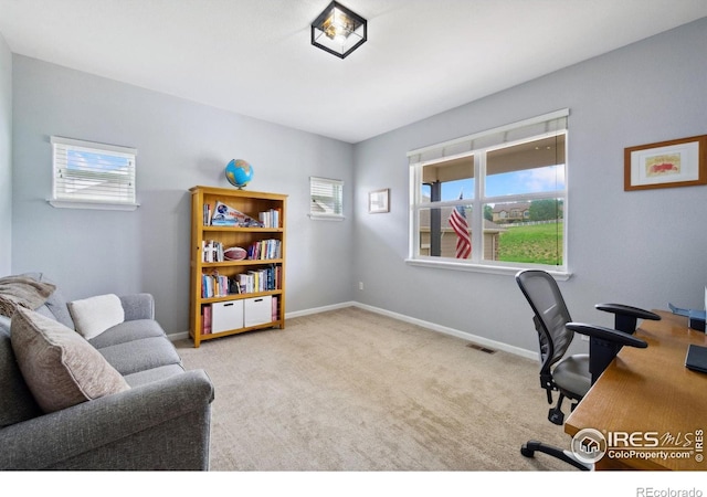 1755 Dolores River Dr, Windsor, CO 80550 - photo 18