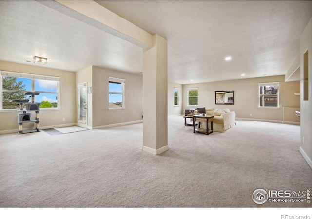 1755 Dolores River Dr, Windsor, CO 80550 - photo 20