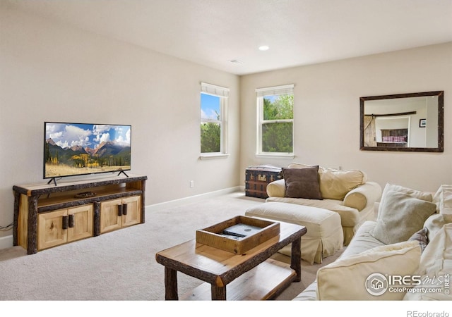 1755 Dolores River Dr, Windsor, CO 80550 - photo 21