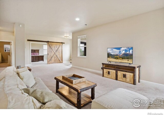 1755 Dolores River Dr, Windsor, CO 80550 - photo 23