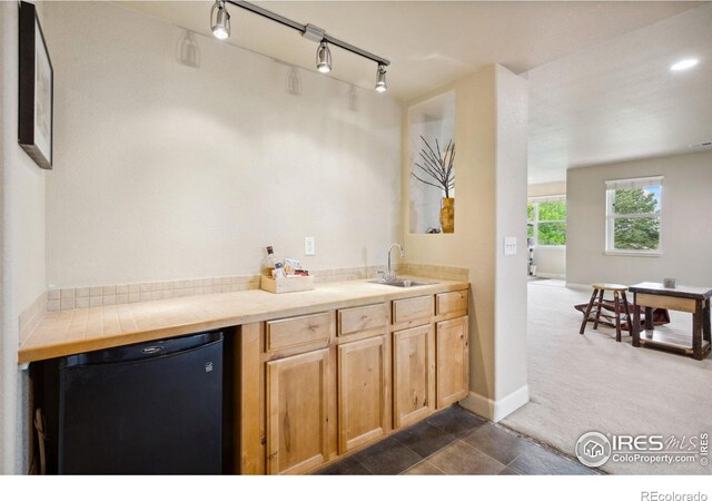 1755 Dolores River Dr, Windsor, CO 80550 - photo 25