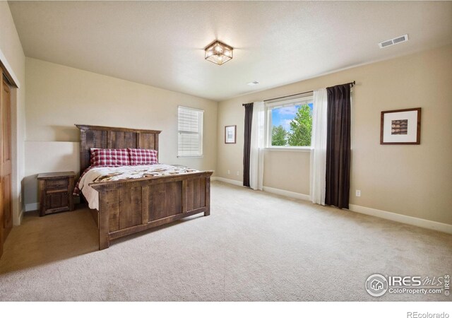 1755 Dolores River Dr, Windsor, CO 80550 - photo 26