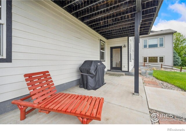 1755 Dolores River Dr, Windsor, CO 80550 - photo 31