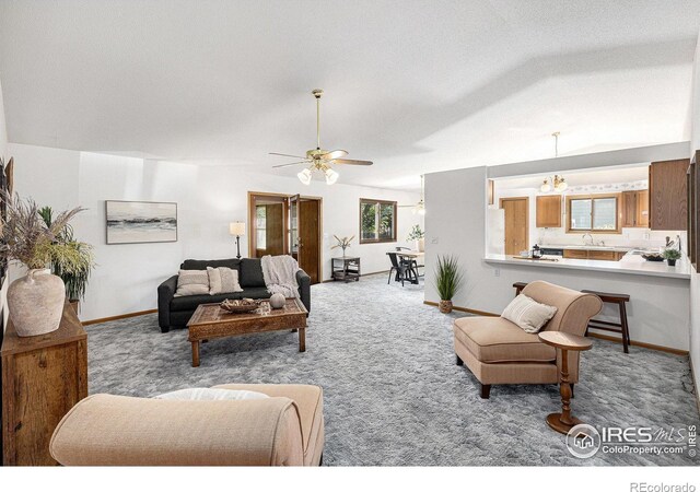 1107 N Redbud Dr, Loveland, CO 80538 - photo 3