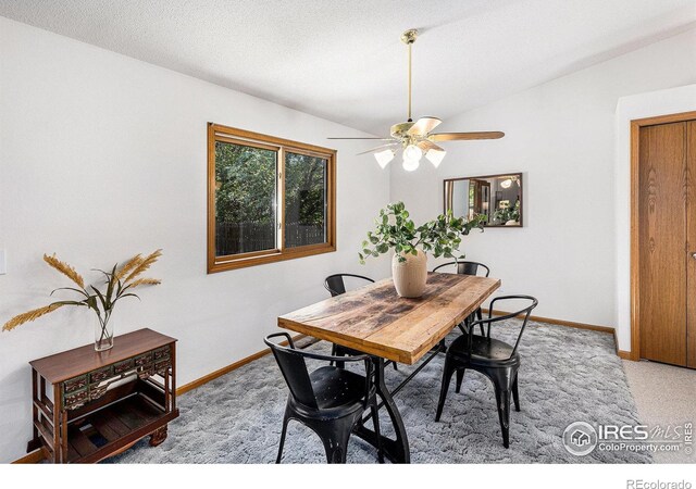 1107 N Redbud Dr, Loveland, CO 80538 - photo 11