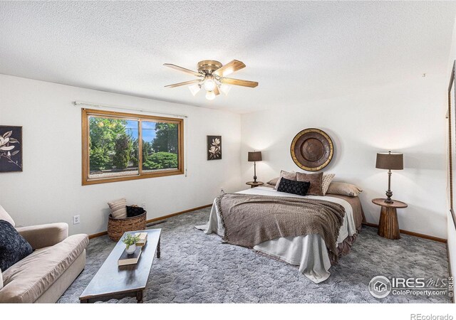 1107 N Redbud Dr, Loveland, CO 80538 - photo 12
