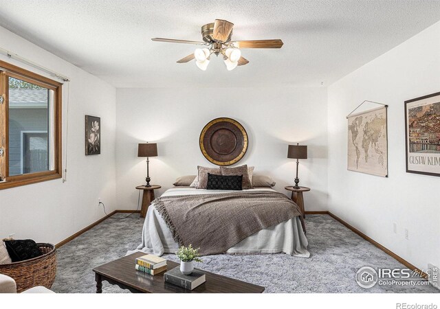1107 N Redbud Dr, Loveland, CO 80538 - photo 13