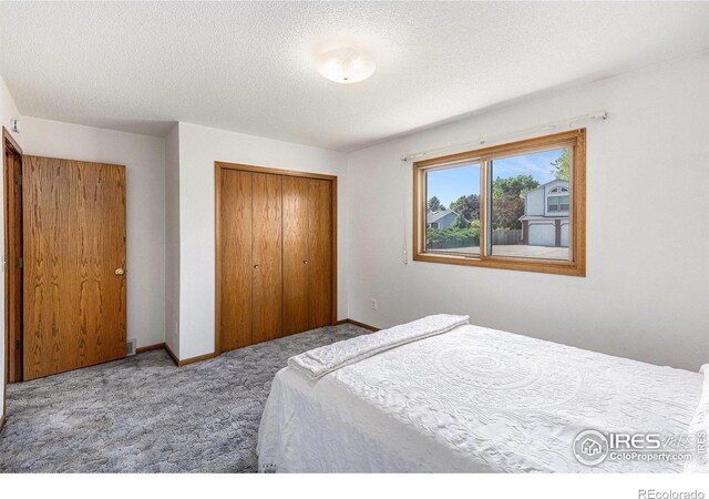 1107 N Redbud Dr, Loveland, CO 80538 - photo 19