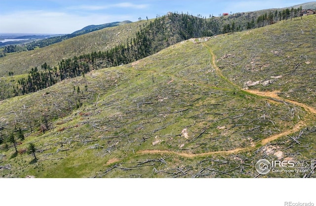 898 Hernia Hill Trl, Bellvue, CO 80512 - photo 2