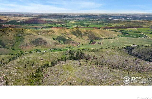 898 Hernia Hill Trl, Bellvue, CO 80512 - photo 3
