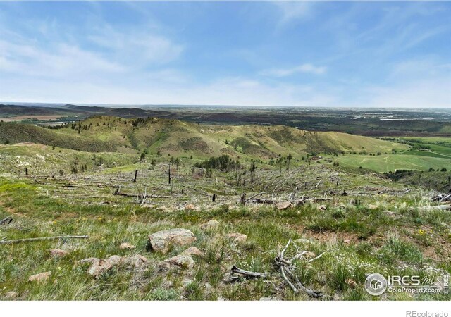 898 Hernia Hill Trl, Bellvue, CO 80512 - photo 4