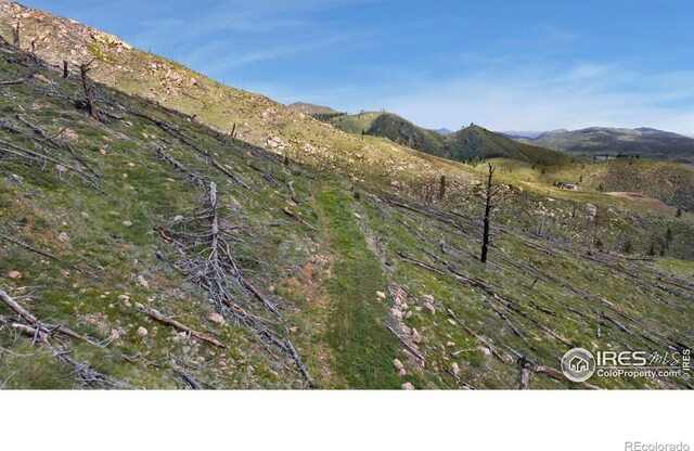 898 Hernia Hill Trl, Bellvue, CO 80512 - photo 5