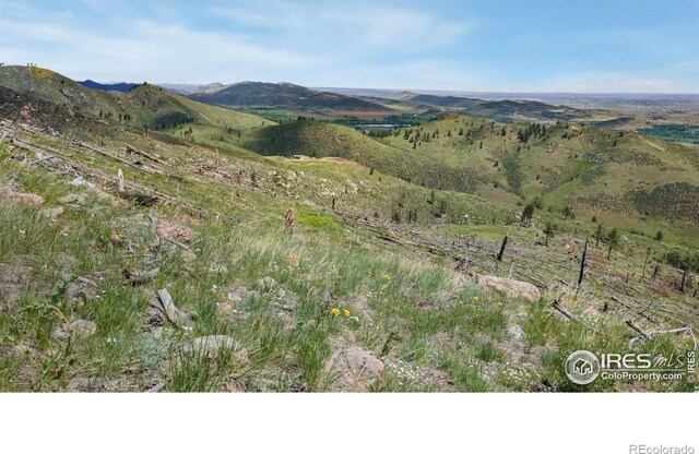 898 Hernia Hill Trl, Bellvue, CO 80512 - photo 6