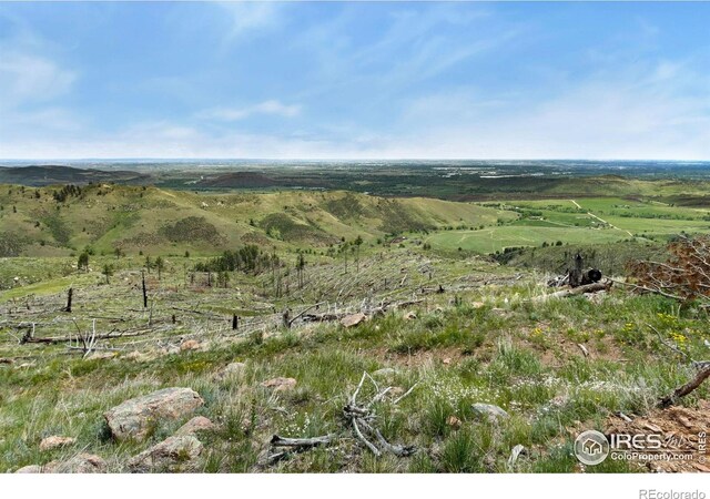 898 Hernia Hill Trl, Bellvue, CO 80512 - photo 7