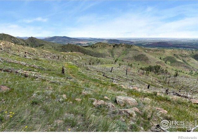 898 Hernia Hill Trl, Bellvue, CO 80512 - photo 8