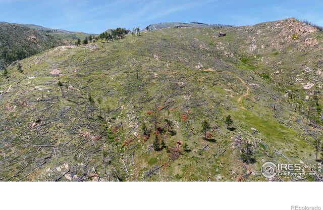 898 Hernia Hill Trl, Bellvue, CO 80512 - photo 10