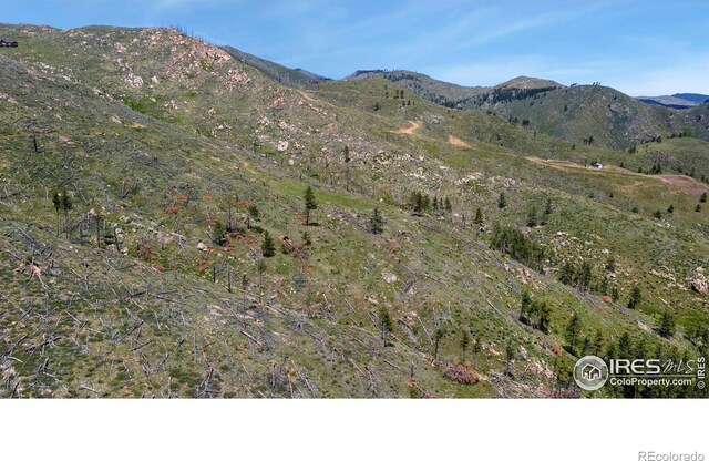 898 Hernia Hill Trl, Bellvue, CO 80512 - photo 11