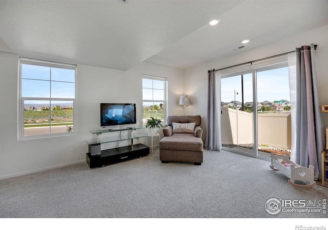 542 Highlands Cir, Erie, CO 80516 - sitting room with carpet and recessed lighting
