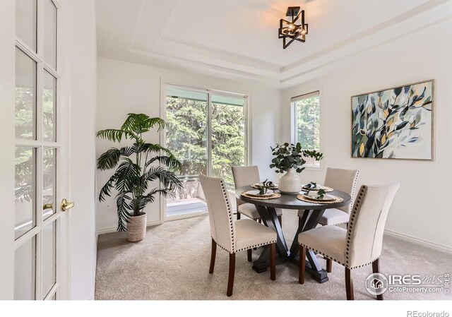 4326 Clay Commons Ct, Boulder, CO 80303 - dining area featuring carpet floors, a raised ceiling, and baseboards