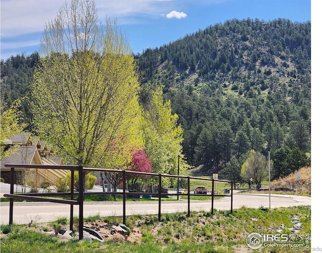 1768 Wildfire Rd Unit 101, Estes Park, CO 80517 - view of mountain background featuring a forest