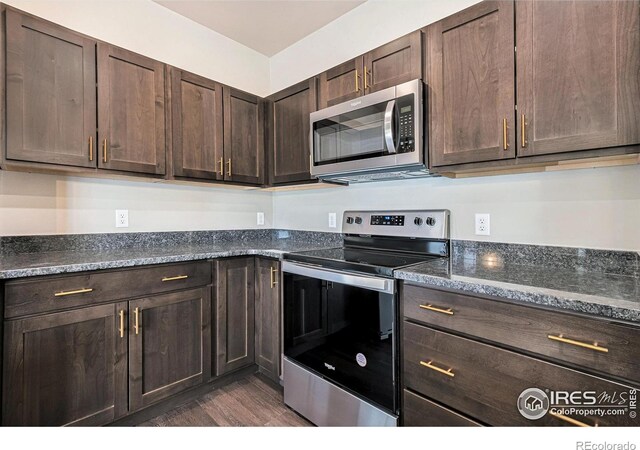 1768 Wildfire Rd Unit 101, Estes Park, CO 80517 - kitchen featuring stainless steel appliances, dark brown cabinetry, dark wood-style floors, and dark stone counters