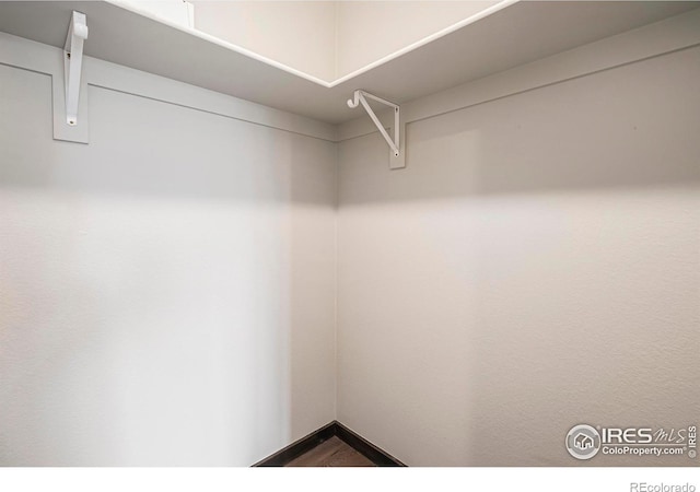 1768 Wildfire Rd Unit 101, Estes Park, CO 80517 - view of walk in closet