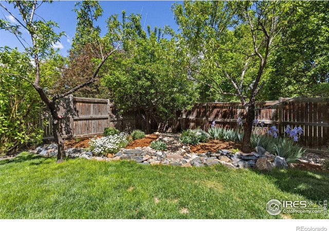 2620 Brush Creek Dr, Fort Collins, CO 80528 - view of yard
