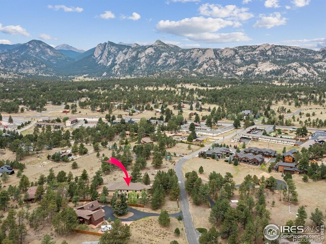 557 Grand Estates Dr, Estes Park, CO 80517 - photo 15