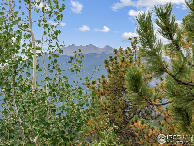 557 Grand Estates Dr, Estes Park, CO 80517 - photo 22
