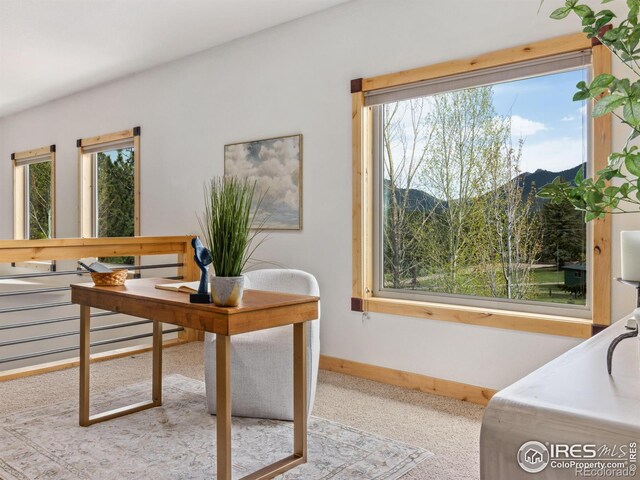 557 Grand Estates Dr, Estes Park, CO 80517 - photo 7