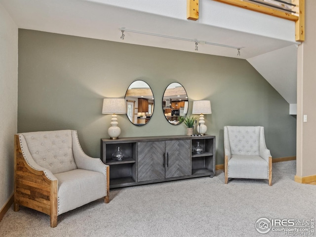 557 Grand Estates Dr, Estes Park, CO 80517 - photo 4